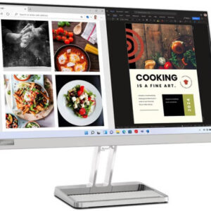 Lenovo L24i-40 23.8" FHD Monitor, Cloud Grey Color