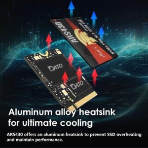 DATO 1TB M.2 NVMe 2242 SSD